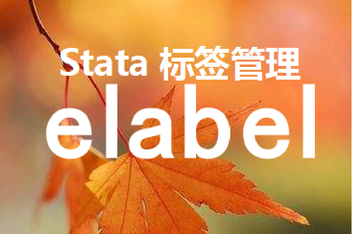 Stata：elabel命令-强大的标签管理工具
